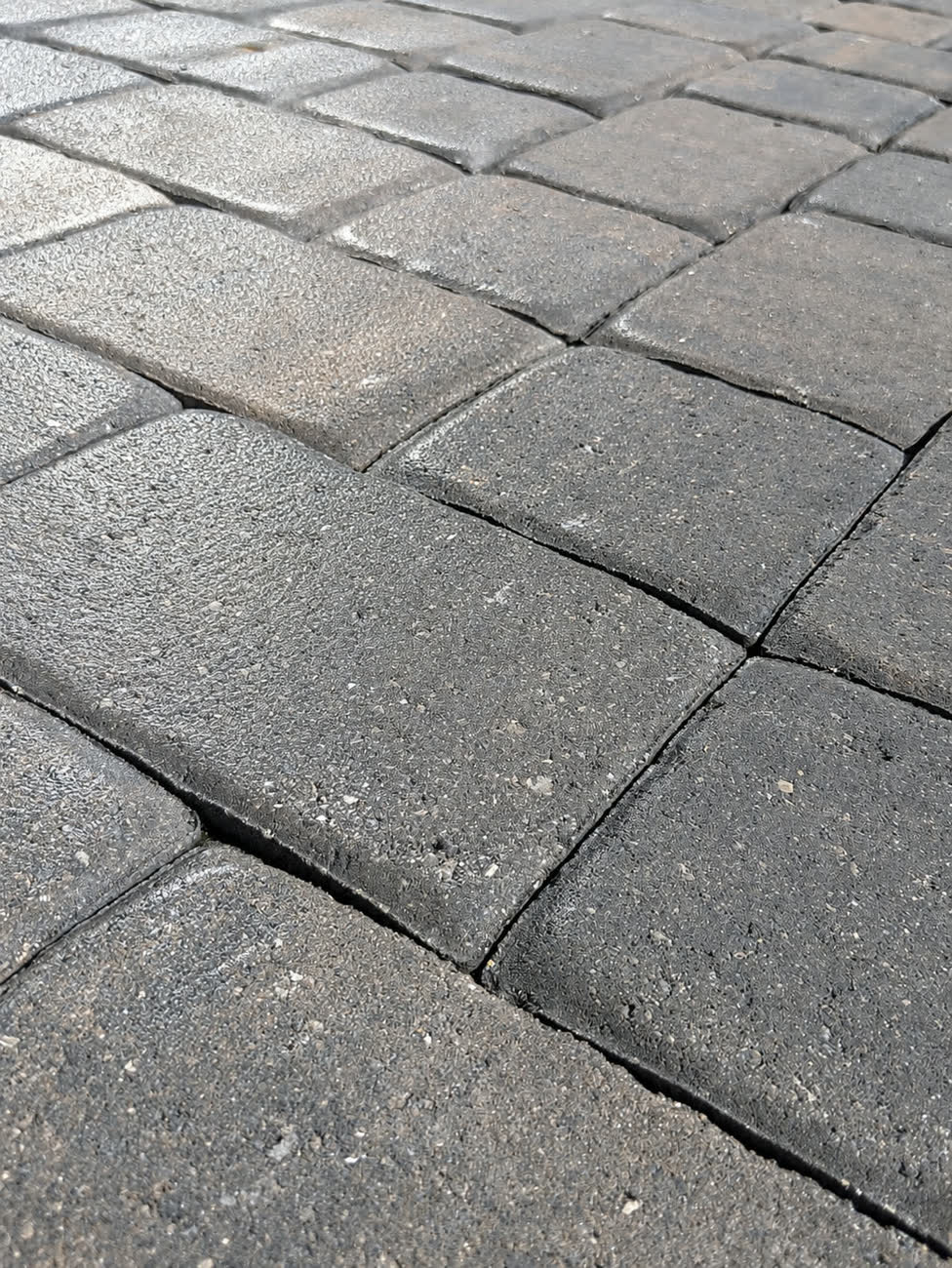 Pavers after sealing, rich and protected