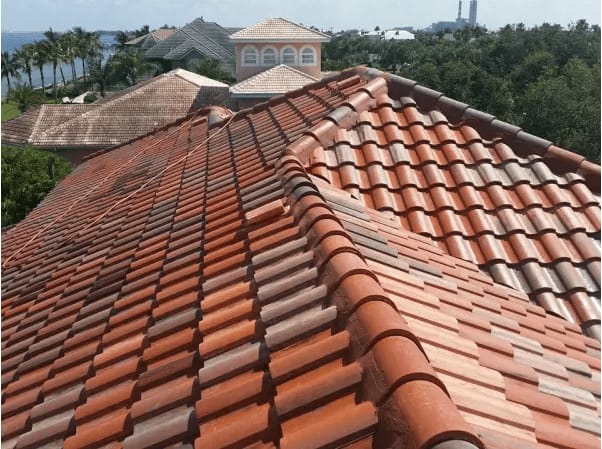 Roof after soft wash